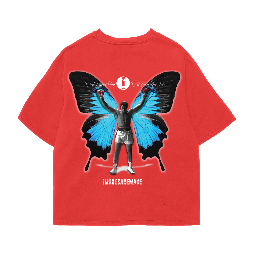 Metamorphosis-I