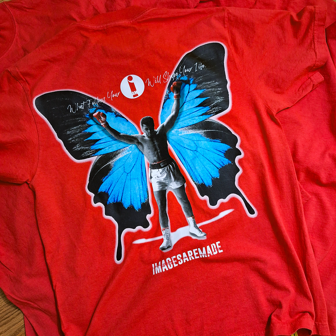 Metamorphosis-I